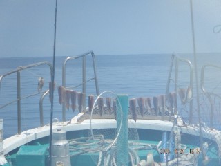 DSCF8545