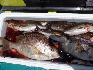 DSCF2957