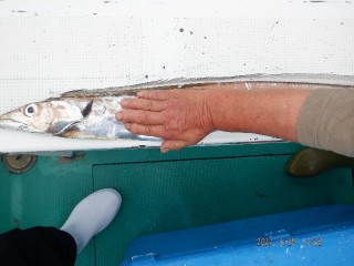 DSCF5415