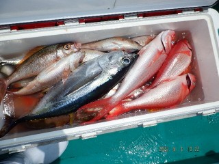 DSCF5581