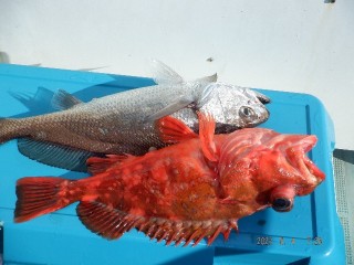 DSCF5587