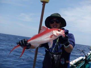 DSCF6605