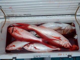 DSCF6612