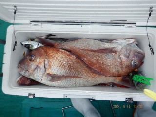 DSCF6623