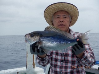 DSCF6631