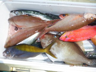 DSCF6660