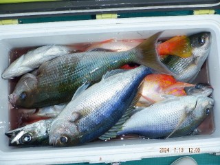 DSCF6665