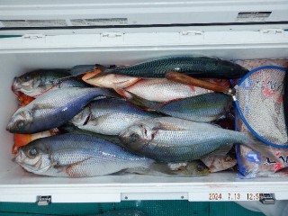 DSCF6667