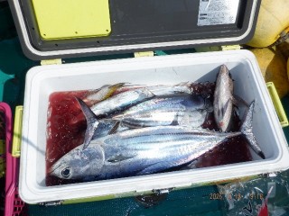 DSCF7556 - コピー