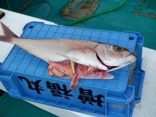 DSCF7508