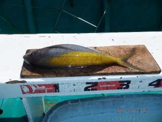 DSCF7561