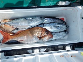 DSCF7589