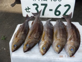 DSCF7622