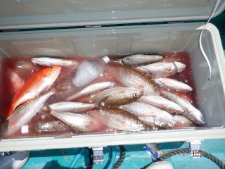 DSCF7670