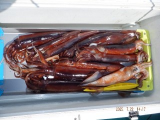 DSCF7674