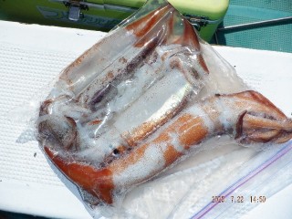 DSCF7675