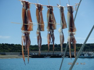DSCF7685