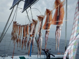 DSCF7696
