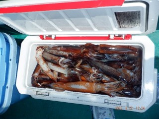 DSCF7744