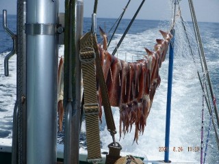 DSCF7765