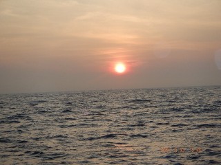DSCF7775