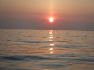 DSCF7782