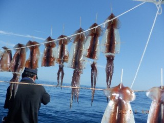 DSCF7793
