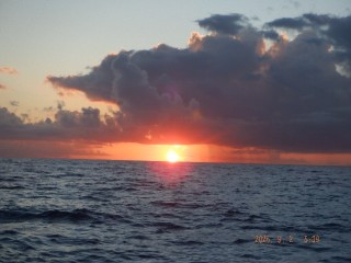 DSCF7794