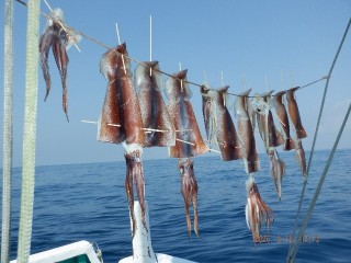 DSCF7805