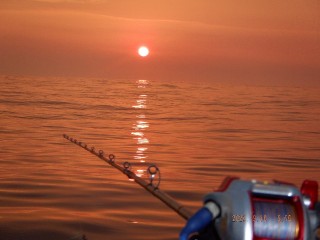 DSCF7814