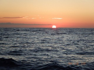 DSCF7824