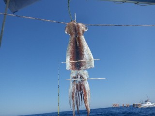 DSCF7826