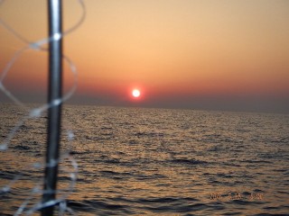 DSCF8347