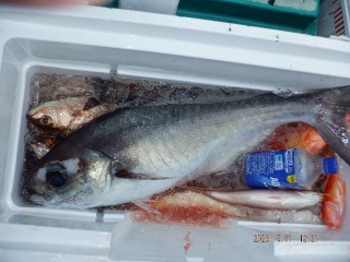 DSCF8359