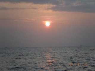 DSCF8447