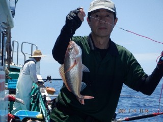 DSCF8460