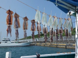 DSCF8476
