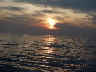 DSCF8482