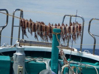 DSCF8488
