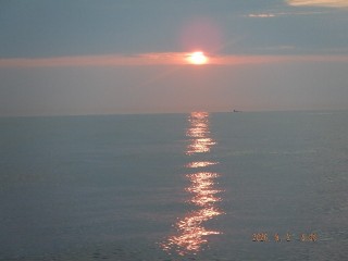 DSCF8493