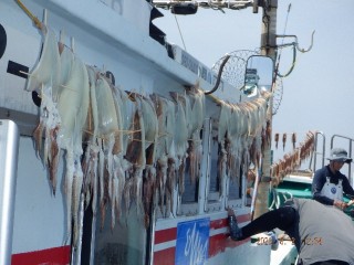 DSCF8497