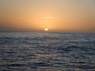 DSCF8504