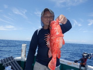 DSCF8533