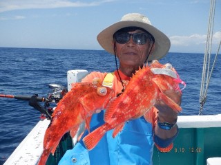 DSCF8540