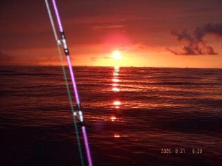 DSCF8549