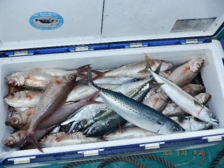 DSCF8567