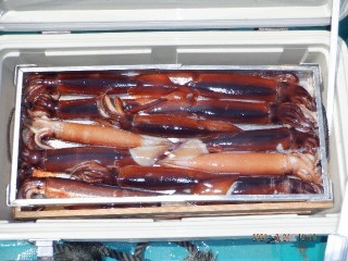 DSCF8577