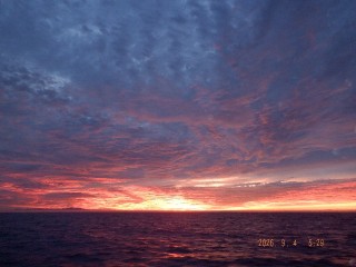 DSCF8595