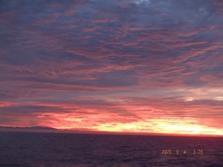 DSCF8596