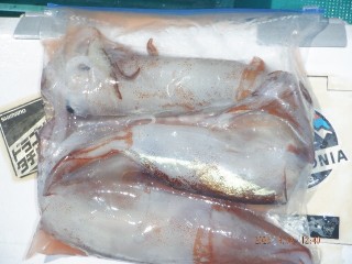 DSCF8609